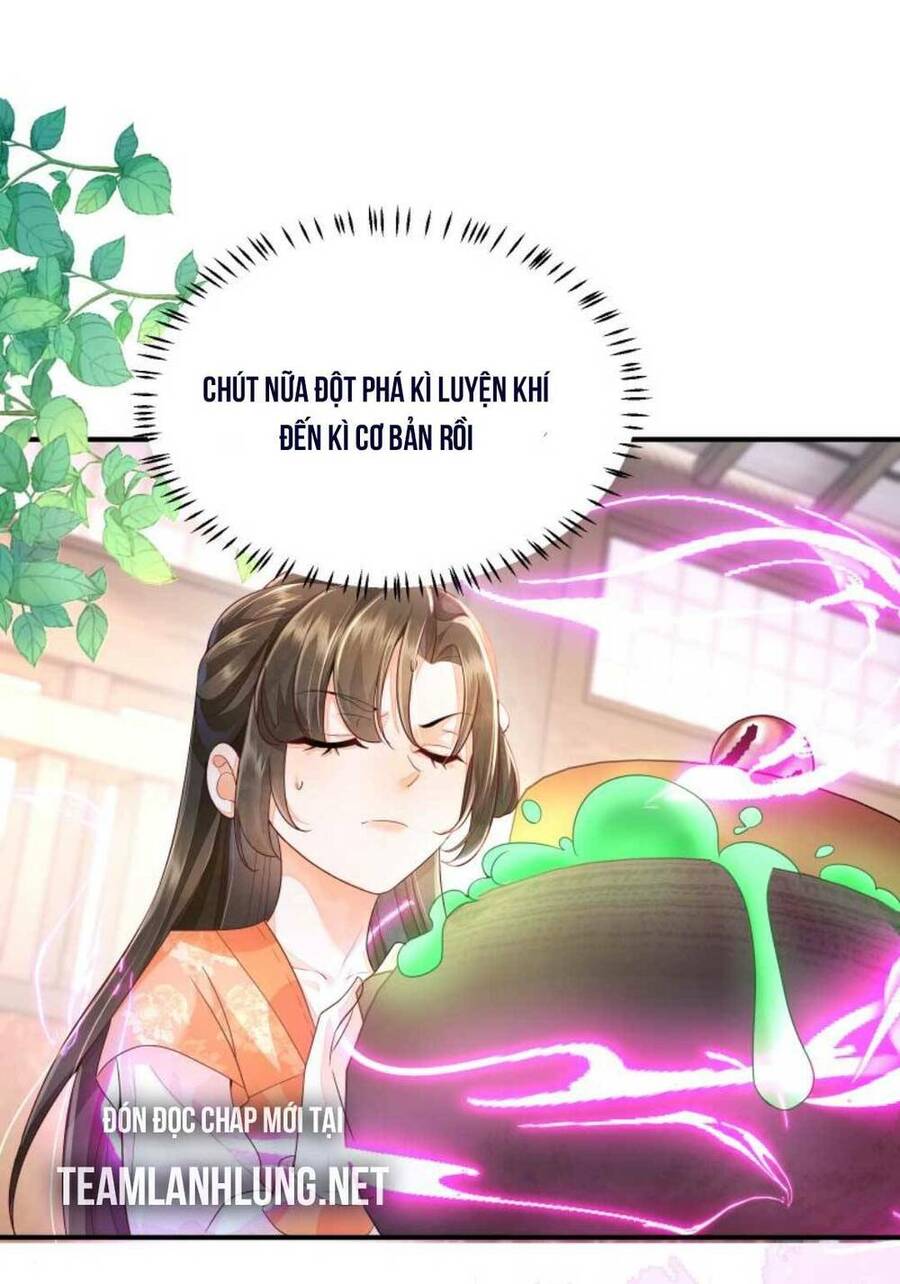 Trăm Kiếp Luân Hồi, Kiếp Này Ta Chỉ Muốn Lười Biếng Chapter 8 - Trang 2