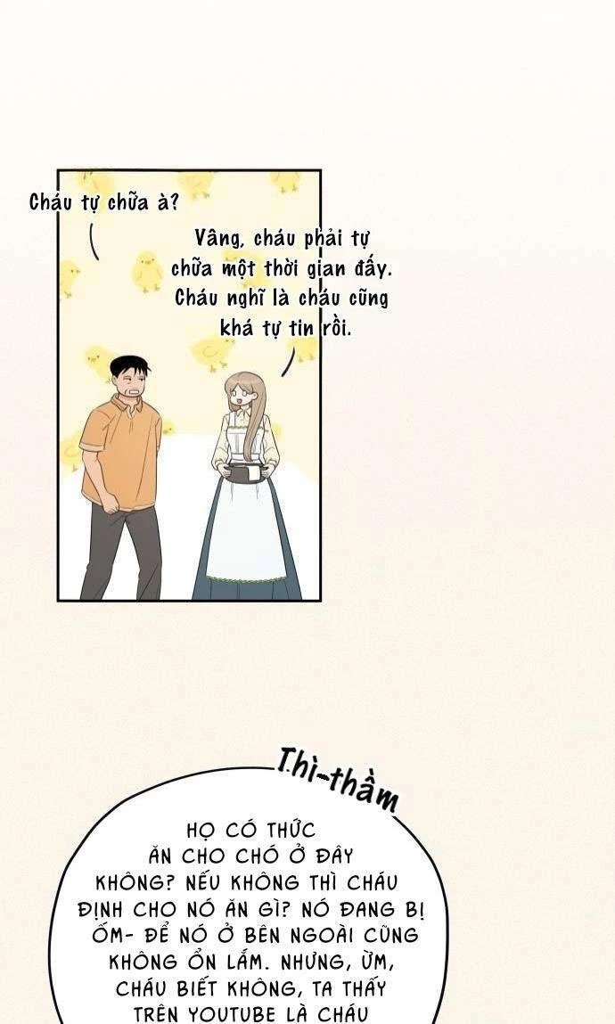 Trận Đấu Đồng Đội Của Những Tài Xế Xe Tải Chapter 18 - Trang 2