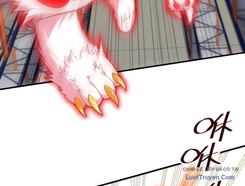 Tránh Ra, Ta Là Ma Pháp Thiếu Nữ! Chapter 24 - Trang 2