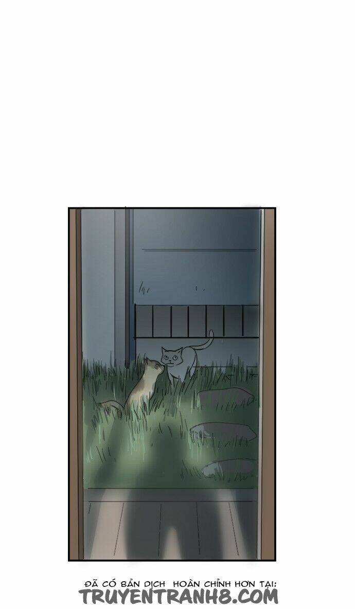 Transparent Cohabitation Chapter 10 - Trang 2