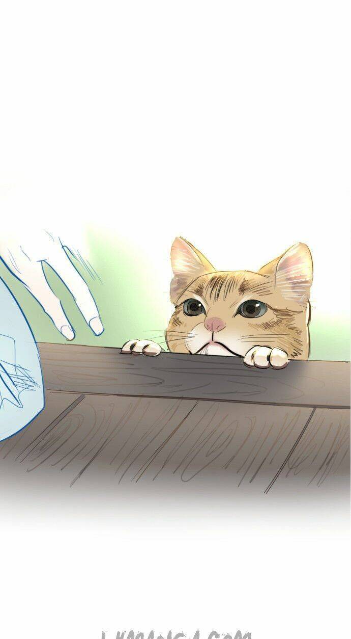 Transparent Cohabitation Chapter 5 - Trang 2