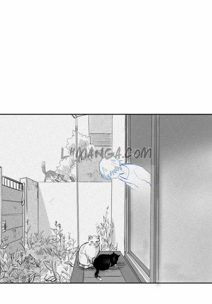 Transparent Cohabitation Chapter 5 - Trang 2