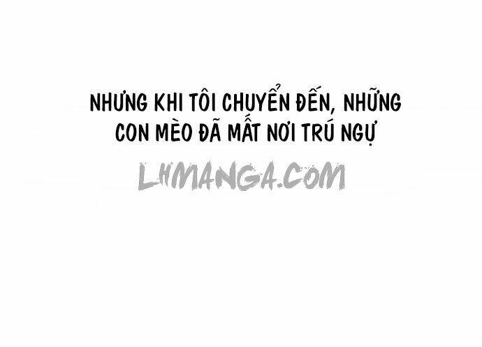 Transparent Cohabitation Chapter 5 - Trang 2