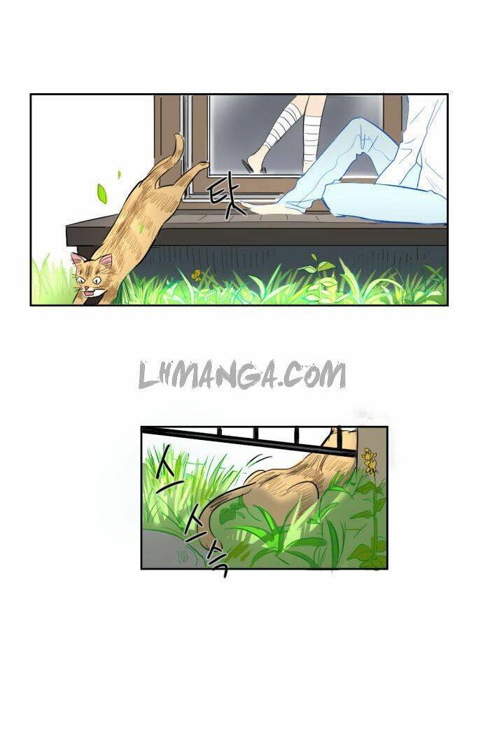 Transparent Cohabitation Chapter 5 - Trang 2