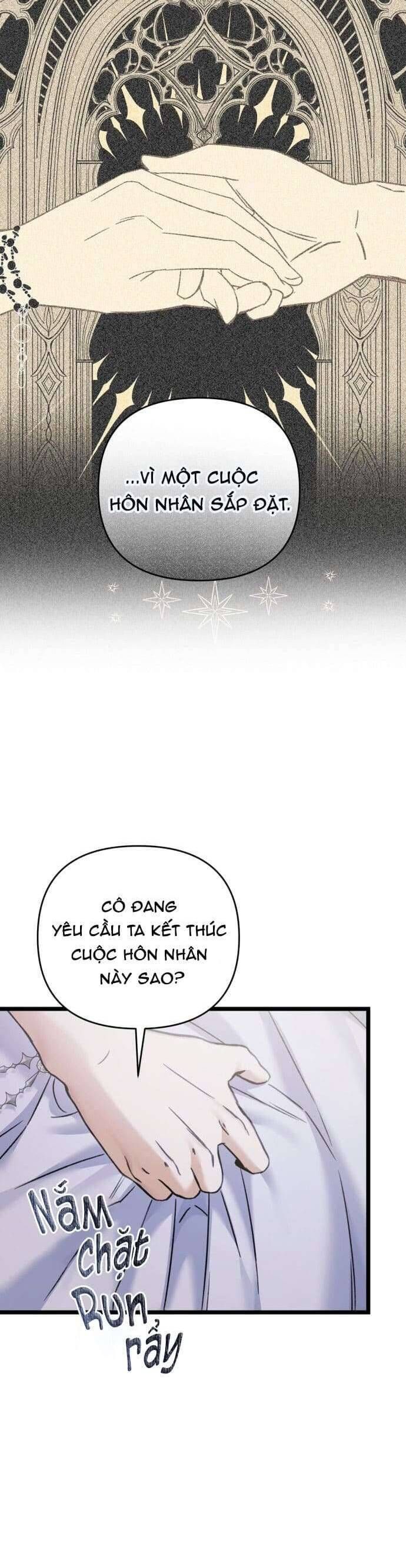 Trên Danh Nghĩa Vợ Chồng Chapter 17 - Trang 2