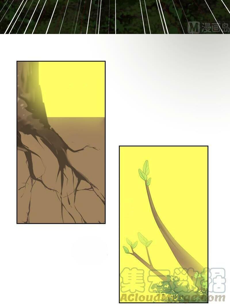 Trên Người Ta Có Một Con Rồng Chapter 174 - Trang 2