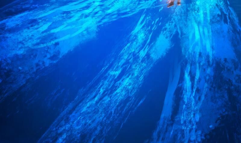 Trên Người Ta Có Một Con Rồng Chapter 277 - Trang 2