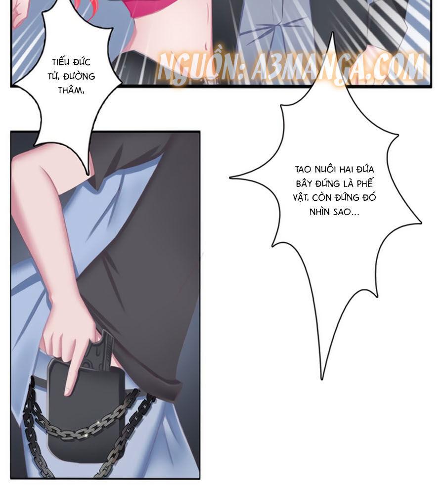 Trí Mệnh Sủng Thê: Tổng Tài Mau Nạp Mạng Chapter 3 - Trang 2