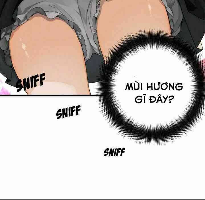 Triệu Hồi Đến Thế Giới Fantasy Chapter 11 - Trang 2