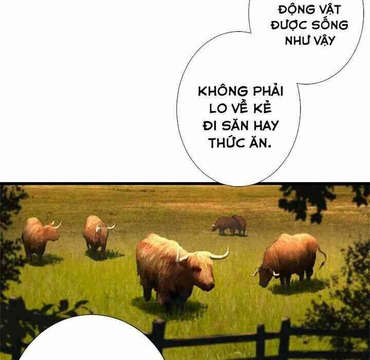 Triệu Hồi Đến Thế Giới Fantasy Chapter 13 - Trang 2