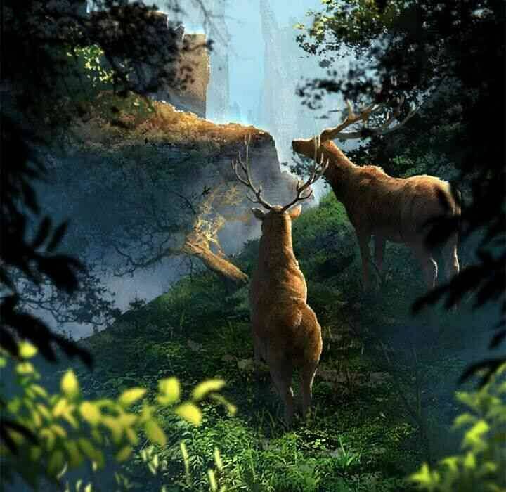 Triệu Hồi Đến Thế Giới Fantasy Chapter 20 - Trang 2