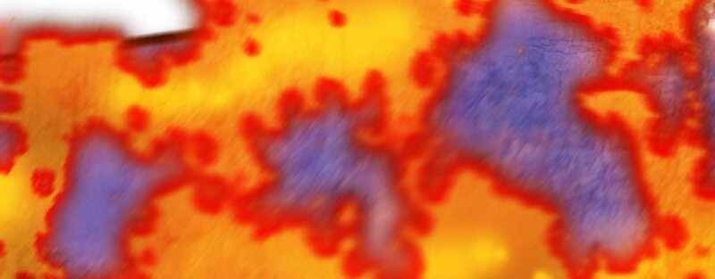 Trò Chơi Của Thần Chapter 5 - Trang 2