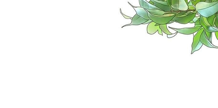 Trở Thành Con Gái Của Kẻ Phản Diện Trong Học Viện Chapter 30 - Trang 2