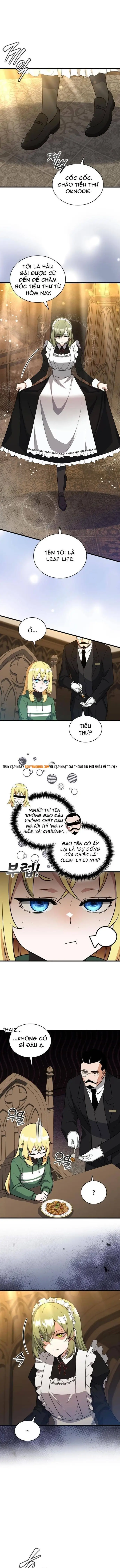 Trở Thành Con Gái Của Kẻ Phản Diện Trong Học Viện Chapter 4 - Trang 2