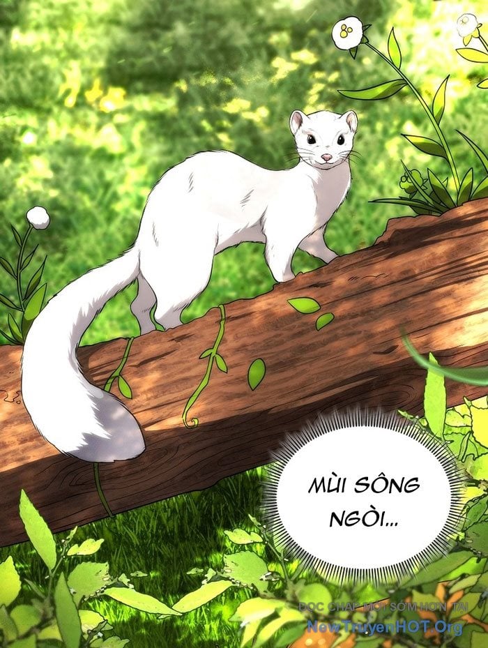 Trở Thành Man Di Ở Thế Giới Fantasy Chapter 5 - Trang 2
