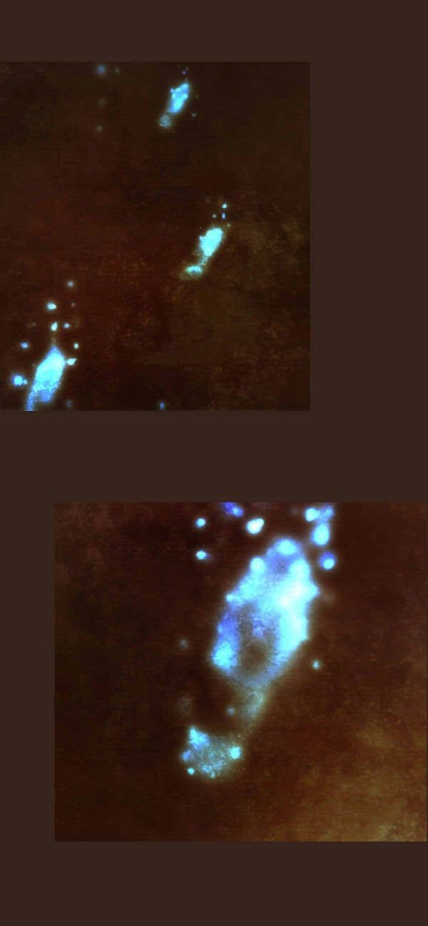 Trở Thành Pháp Sư Ở Thế Giới Mới Chapter 52 - Trang 2