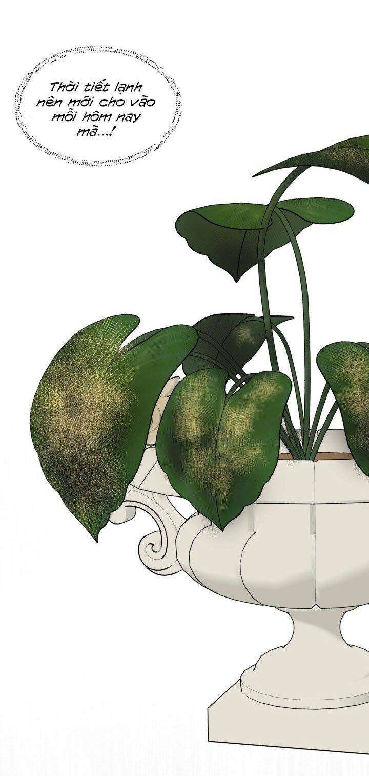 Trở Thành Vợ Của Nam Chính Phế Vật Chapter 8 - Trang 2