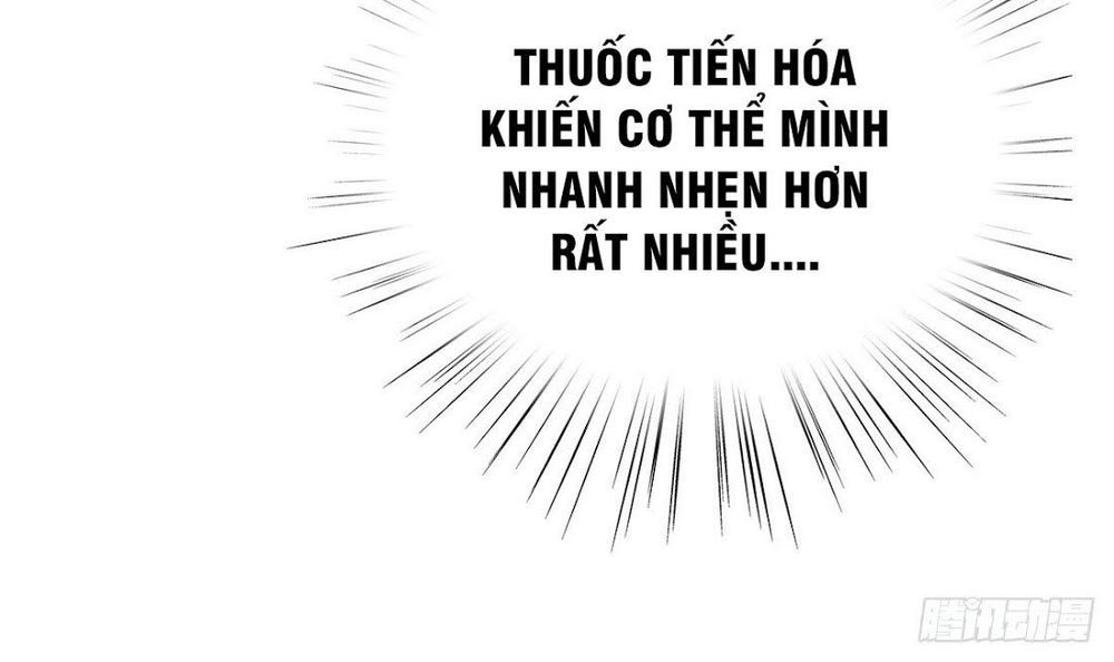 Trở Về Làm Đại Lão Thời Mạt Thế Chapter 13 - Trang 2