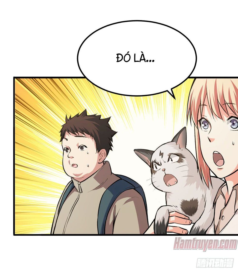 Trở Về Làm Đại Lão Thời Mạt Thế Chapter 15 - Trang 2