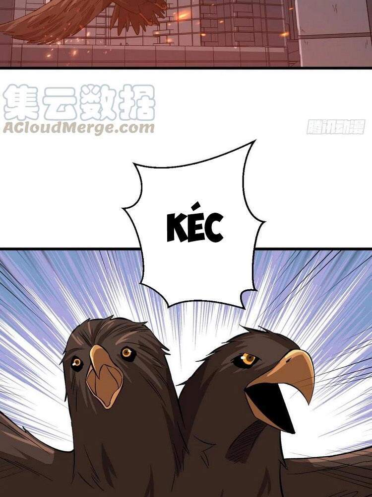 Trở Về Làm Đại Lão Thời Mạt Thế Chapter 162 - Trang 2