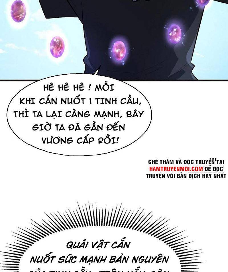 Trở Về Làm Đại Lão Thời Mạt Thế Chapter 244 - Trang 2