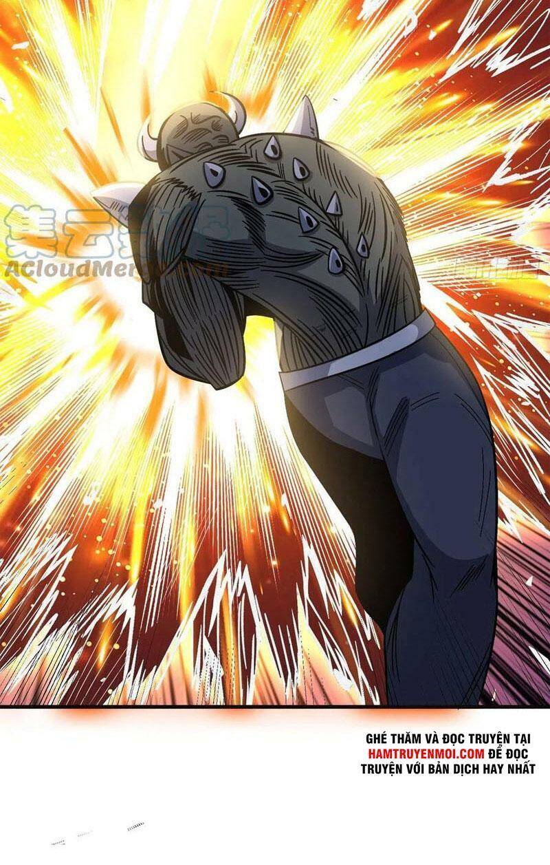 Trở Về Làm Đại Lão Thời Mạt Thế Chapter 252 - Trang 2