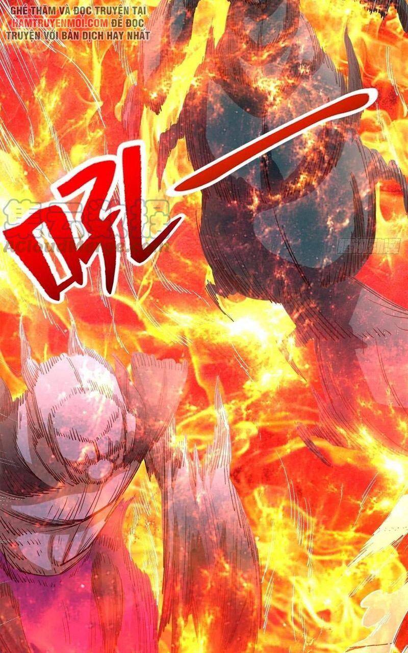 Trở Về Làm Đại Lão Thời Mạt Thế Chapter 255 - Trang 2