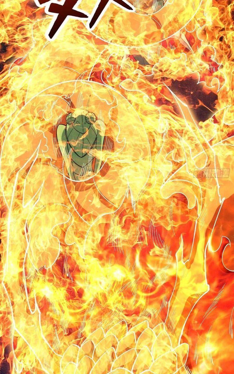 Trở Về Làm Đại Lão Thời Mạt Thế Chapter 255 - Trang 2