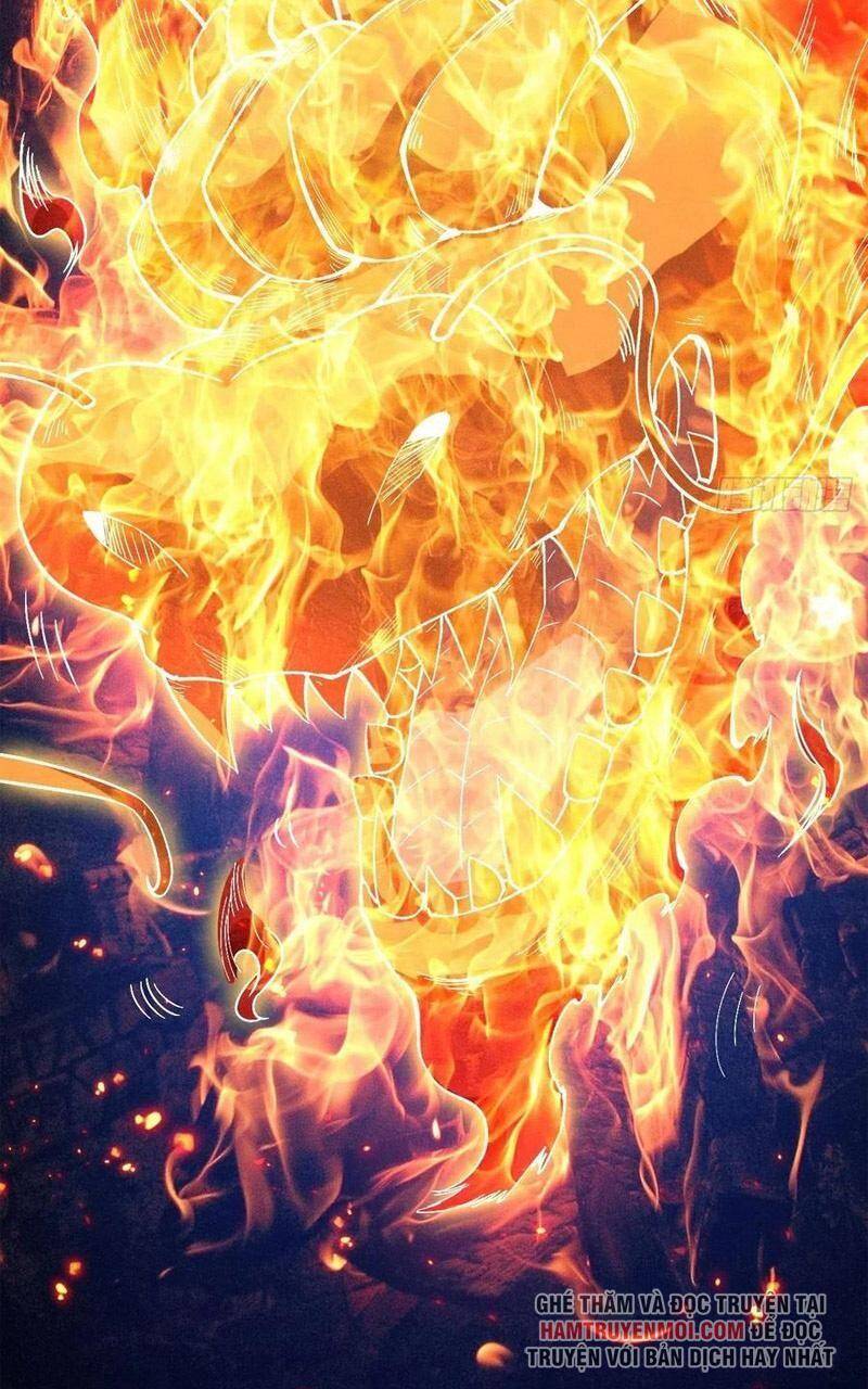 Trở Về Làm Đại Lão Thời Mạt Thế Chapter 255 - Trang 2