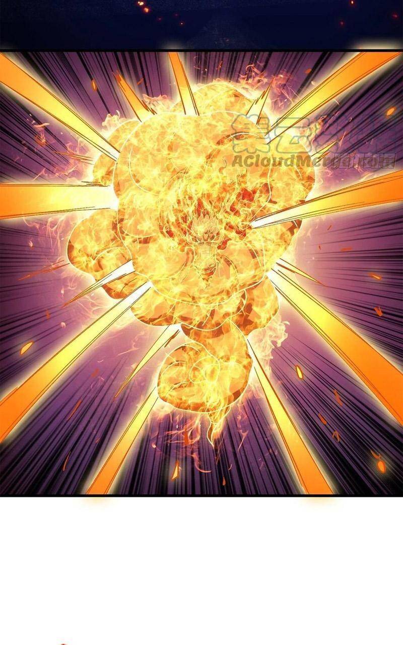 Trở Về Làm Đại Lão Thời Mạt Thế Chapter 255 - Trang 2