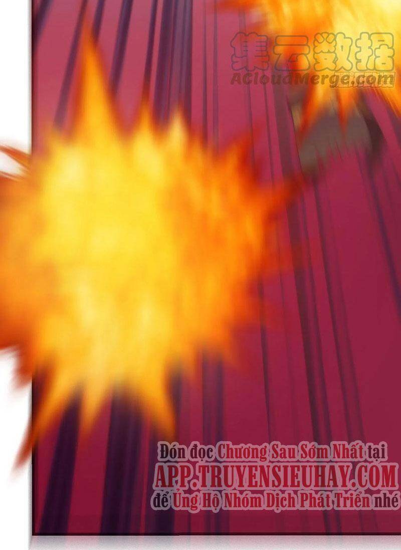 Trở Về Làm Đại Lão Thời Mạt Thế Chapter 274 - Trang 2