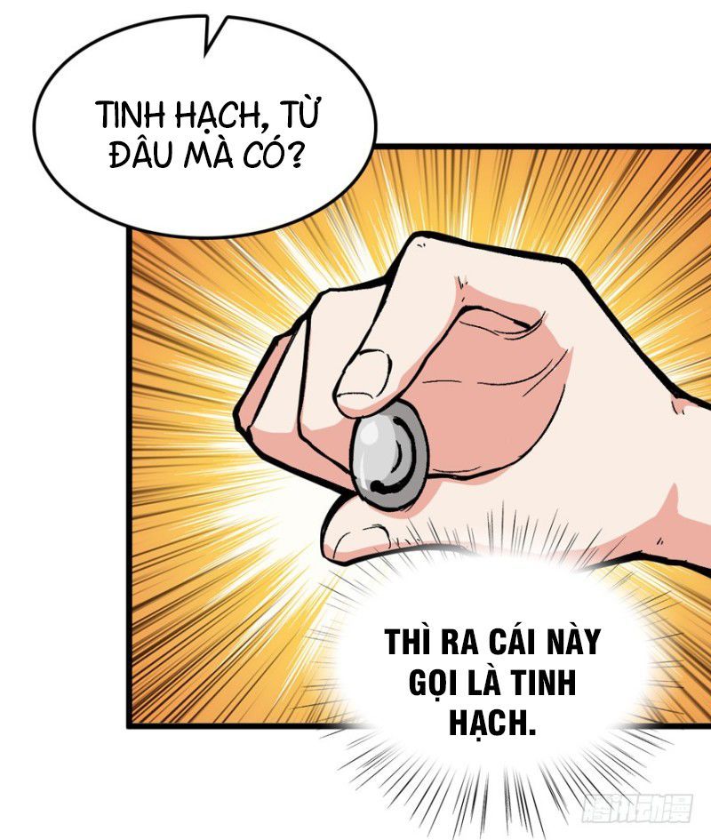 Trở Về Làm Đại Lão Thời Mạt Thế Chapter 4 - Trang 2