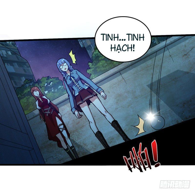 Trở Về Làm Đại Lão Thời Mạt Thế Chapter 4 - Trang 2