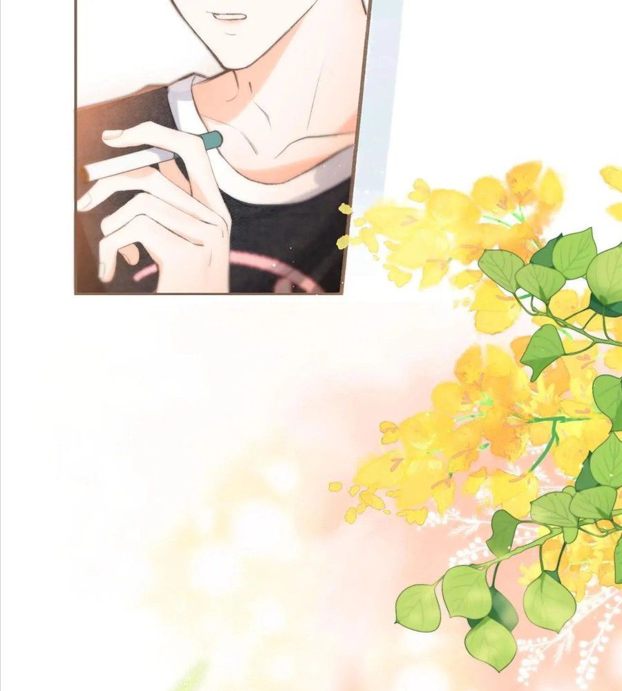 Trong Giấc Mộng Của Tôi Chapter 1 - Trang 2