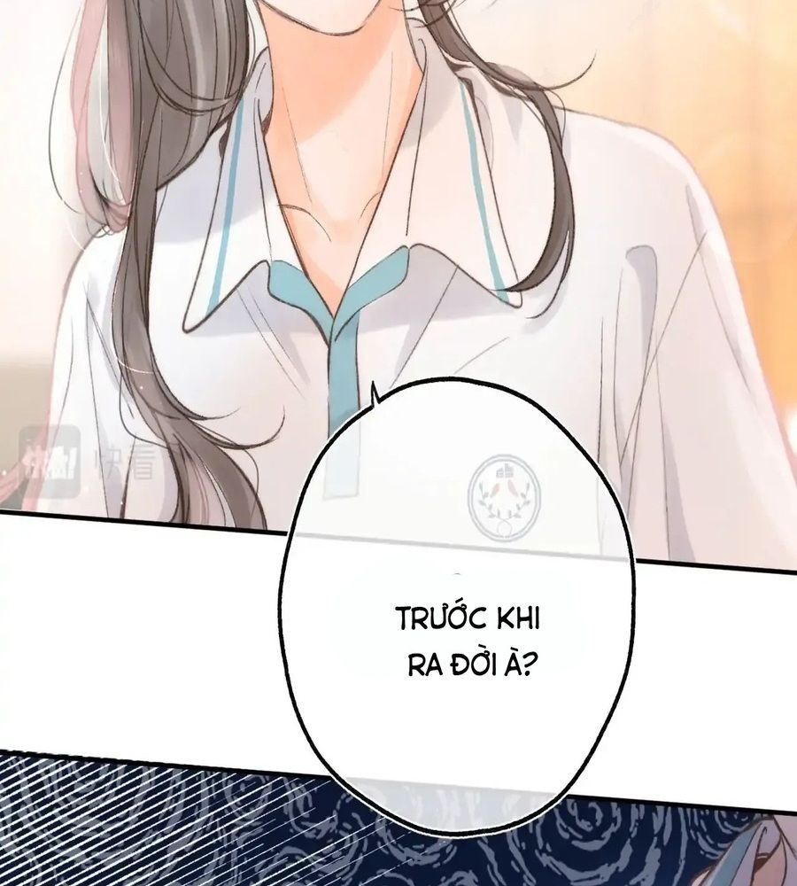 Trong Giấc Mộng Của Tôi Chapter 10 - Trang 2