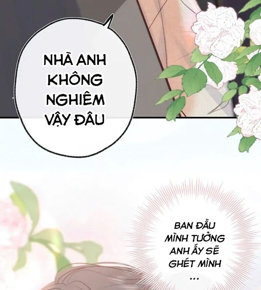 Trong Giấc Mộng Của Tôi Chapter 20 - Trang 2