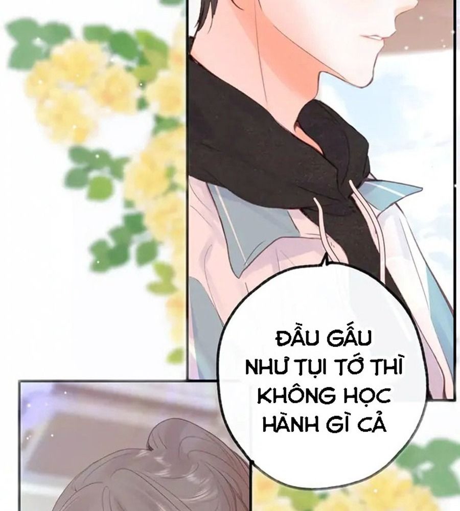 Trong Giấc Mộng Của Tôi Chapter 20 - Trang 2