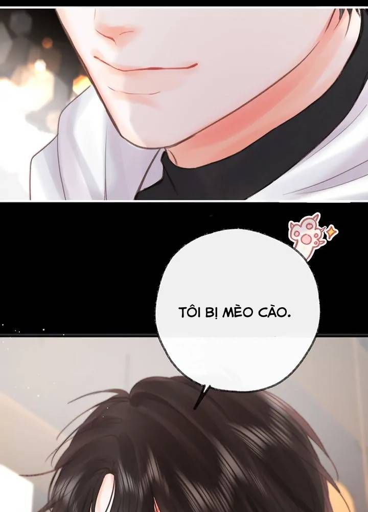 Trong Giấc Mộng Của Tôi Chapter 27 - Trang 2