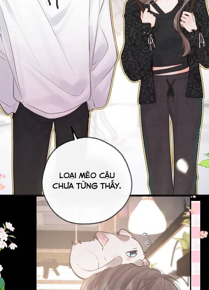 Trong Giấc Mộng Của Tôi Chapter 27 - Trang 2
