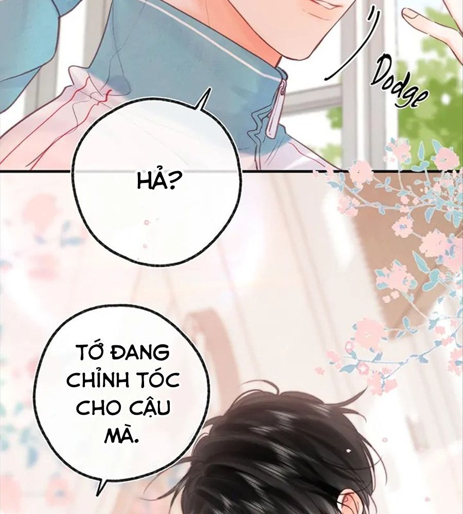 Trong Giấc Mộng Của Tôi Chapter 29 - Trang 2