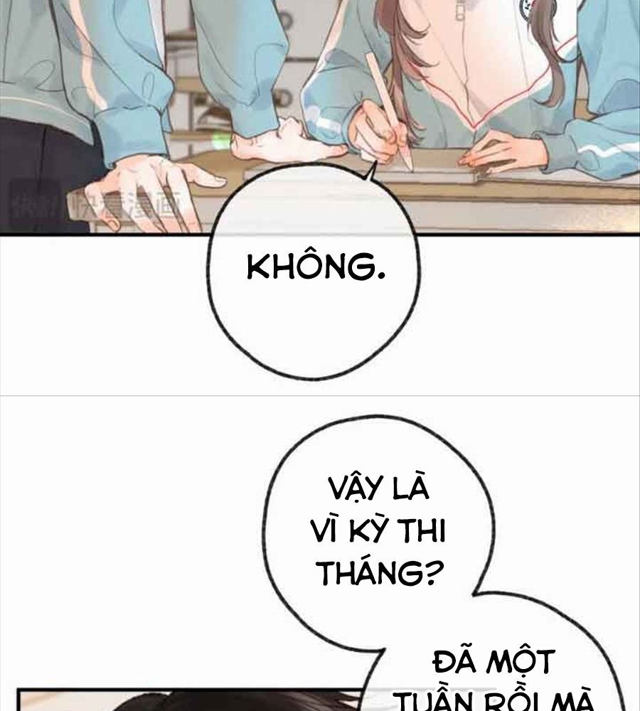 Trong Giấc Mộng Của Tôi Chapter 31 - Trang 2