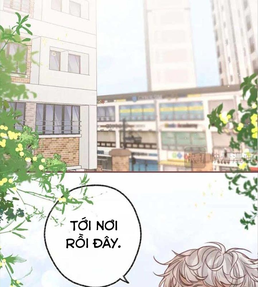 Trong Giấc Mộng Của Tôi Chapter 32 - Trang 2