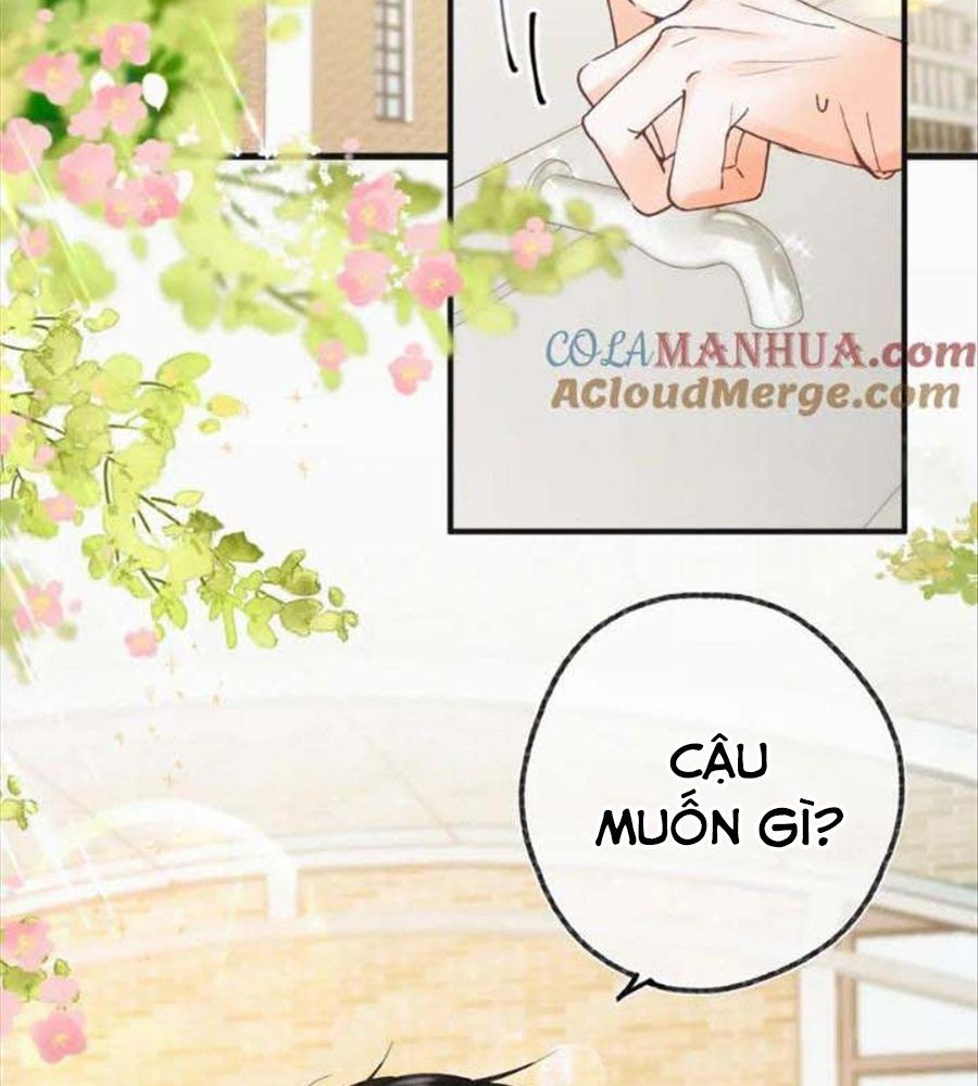 Trong Giấc Mộng Của Tôi Chapter 33 - Trang 2