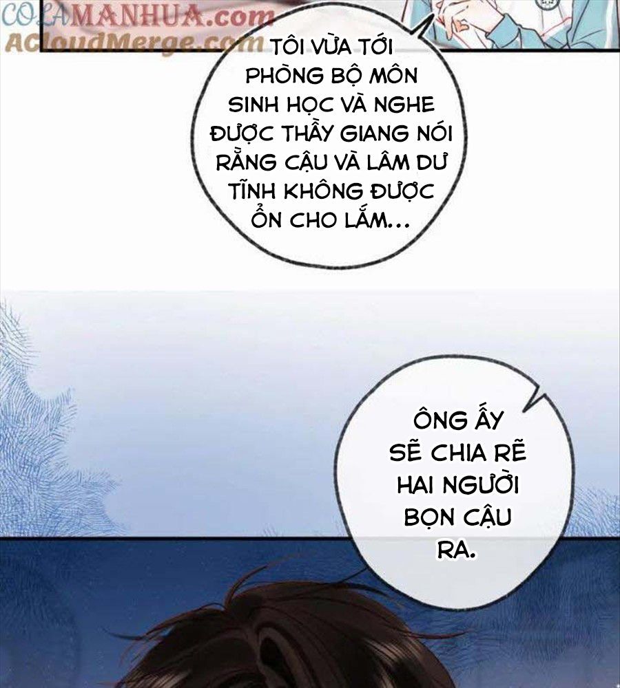 Trong Giấc Mộng Của Tôi Chapter 33 - Trang 2