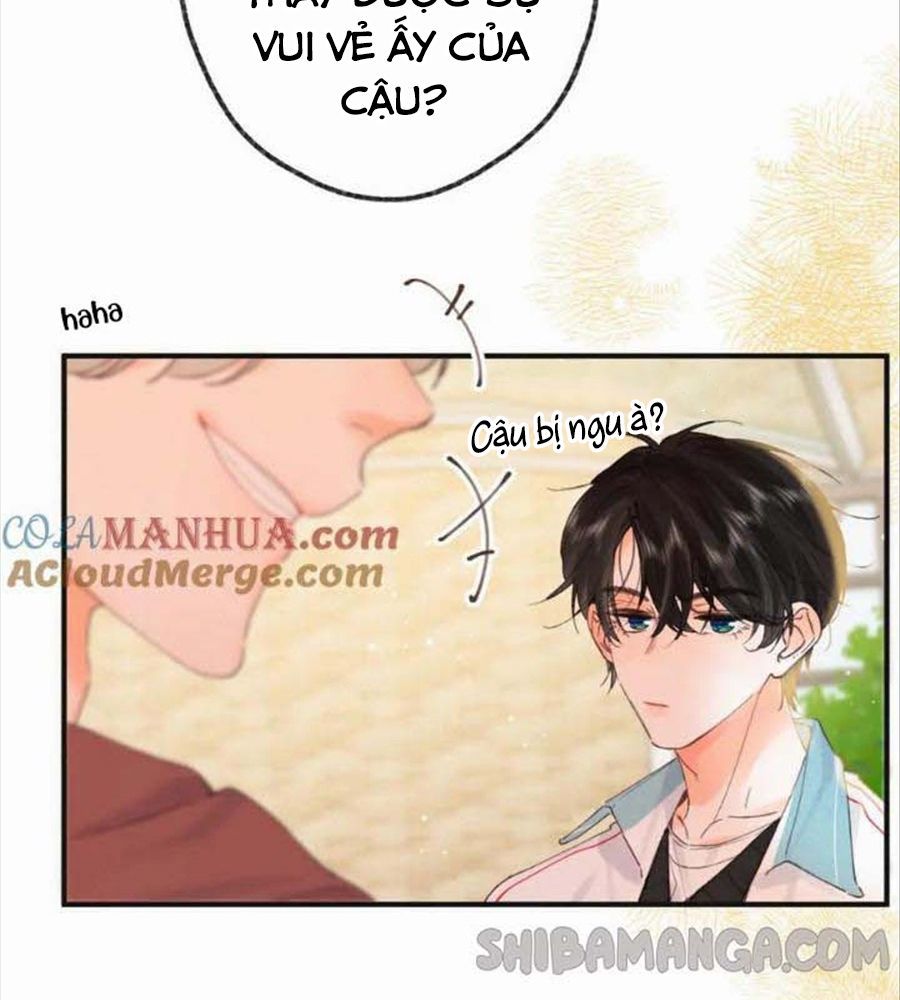 Trong Giấc Mộng Của Tôi Chapter 33 - Trang 2