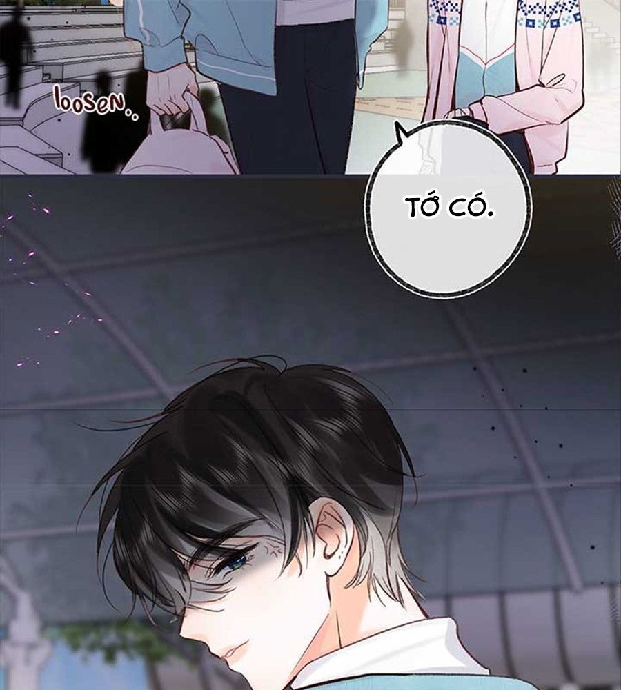 Trong Giấc Mộng Của Tôi Chapter 47 - Trang 2
