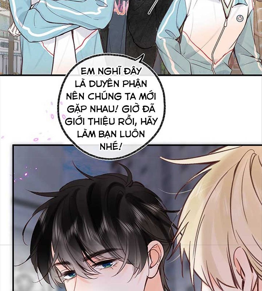 Trong Giấc Mộng Của Tôi Chapter 47 - Trang 2