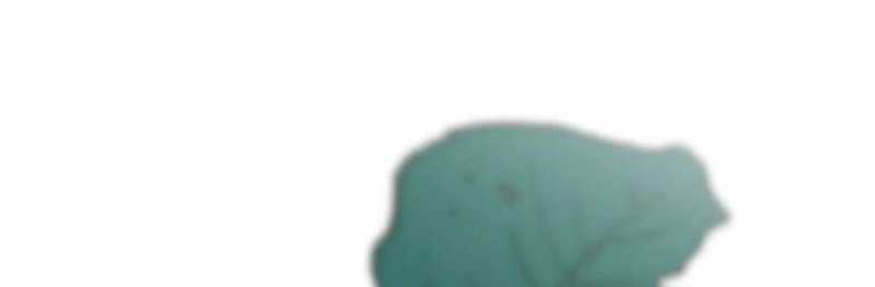 Trọng Sinh 1998: Yêu Đương Không Bằng Làm Nên Nghiệp Lớn! Chapter 18 - Trang 2