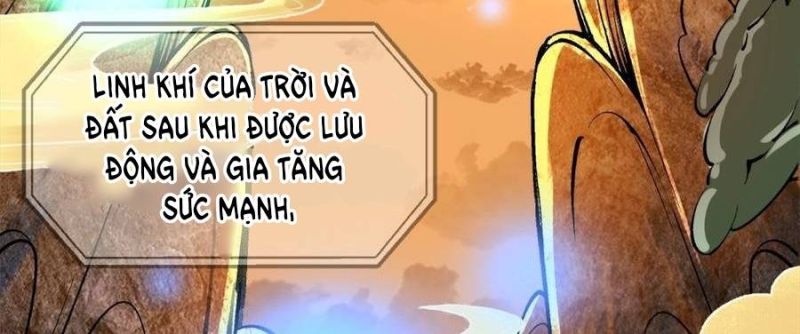 Trọng Sinh 1998: Yêu Đương Không Bằng Làm Nên Nghiệp Lớn! Chapter 20 - Trang 2