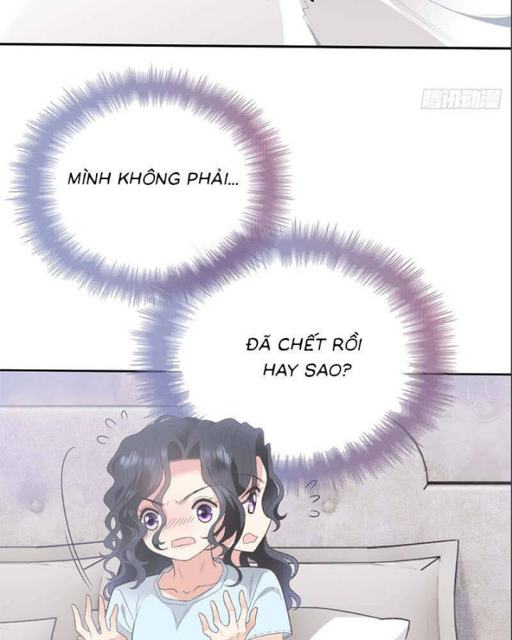 Trọng Sinh Báo Thù Gặp Được Bá Đạo Tổng Tài Chapter 01 - Trang 2